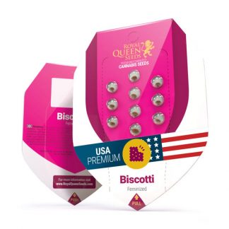 RQS - Biscotti feminisiert - USA Premium - 25 Samen