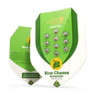 RQS - Blue Cheese Auto feminisiert - 25 Samen