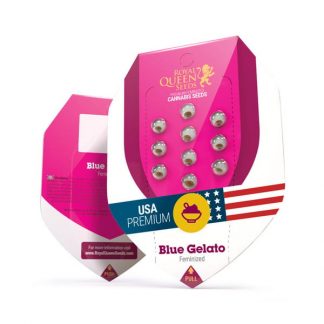 RQS - Blue Gelato feminisiert - USA Premium - 25 Samen