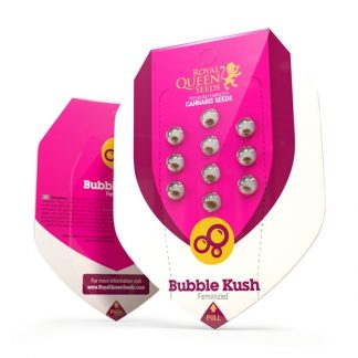 RQS - Bubble Kush feminisiert - 25 Samen