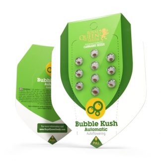 RQS - Bubble Kush Auto feminisiert - 25 Samen