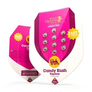 RQS - Candy Kush Express - Fast feminisiert - 25 Samen
