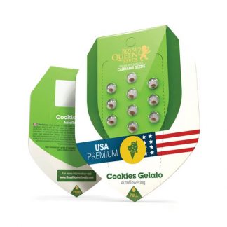 RQS - Cookies Gelato Auto feminisiert - USA Premium - 25 Samen