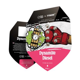 RQS - Tyson Seeds - Dynamite Diesel feminisiert - 1 Samen