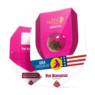 RQS - Fat Banana  feminisiert - USA Premium - 25 Samen