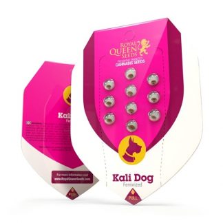 RQS - Kali Dog feminisiert - 25 Samen