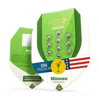 RQS - Mimosa Auto feminisiert - USA Premium - 25 Samen