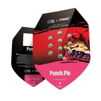 RQS - Tyson Seeds - Punch Pie feminisiert - 1 Samen