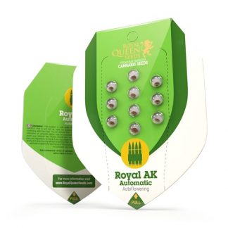 RQS - Royal AK Auto feminisiert - 25 Samen