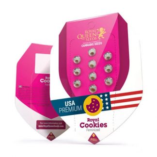 RQS - Royal Cookies feminisiert - USA Premium - 25 Samen