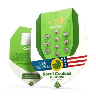 RQS - Royal Cookies Auto feminisiert - USA Premium - 25 Samen