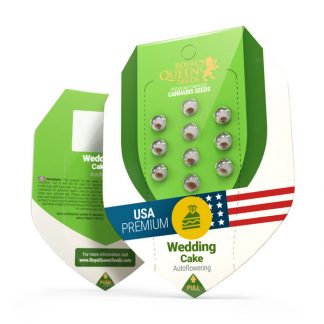 RQS - Wedding Cake Auto feminisiert - USA Premium - 25 Samen